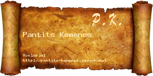 Pantits Kemenes névjegykártya